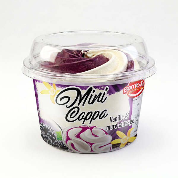 Crème glacée saveur vanille et mûre sauvage mini coppa